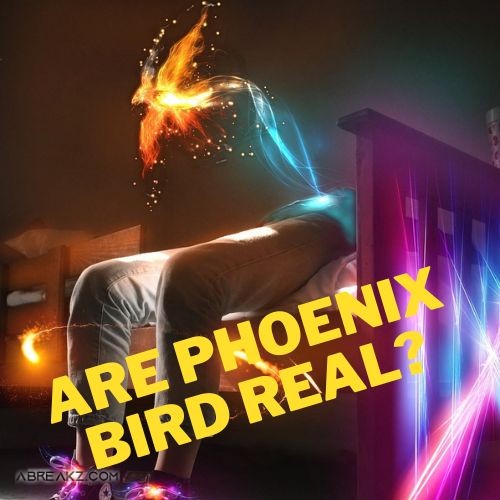 Phoenix Bird: are it real or just a Canaanite legend