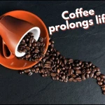 Coffee Prolongs Life >You Should Drink Two Cups Of It Daily