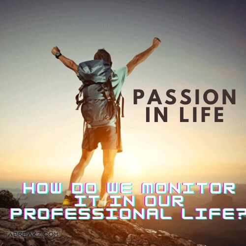 Passion In Life.. How Do We Monitor It In Our Professional Life?