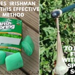 Does Irishman Use That Effective Methods To Repel Flies With Irish Spring Soap?