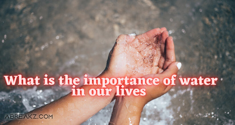 What Is Importance Of Water In Our Lives 5 Indispensable Aspects Of Life?